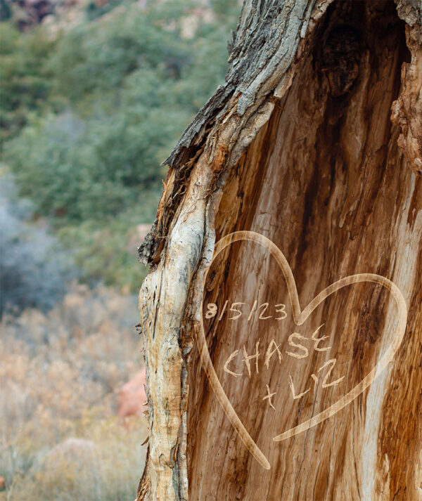 Desert Tree - Personalized Art for Couples (Weddings, Anniversaries)